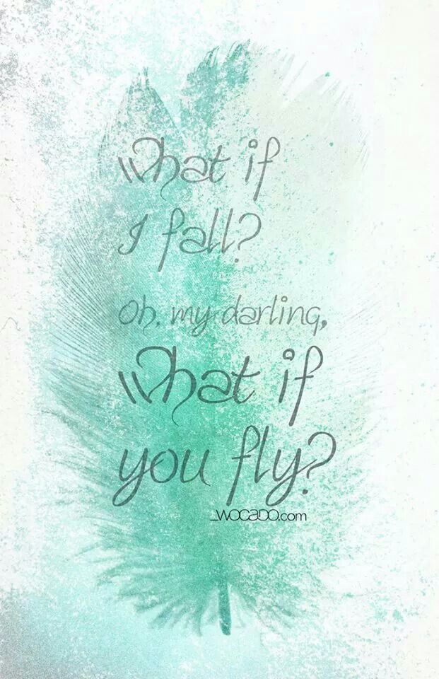 What If I Fall What If You Fly What If You Fly Canvas Art Quotes Fly Quotes