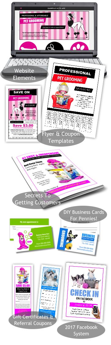 Pet supplies plus grooming coupons