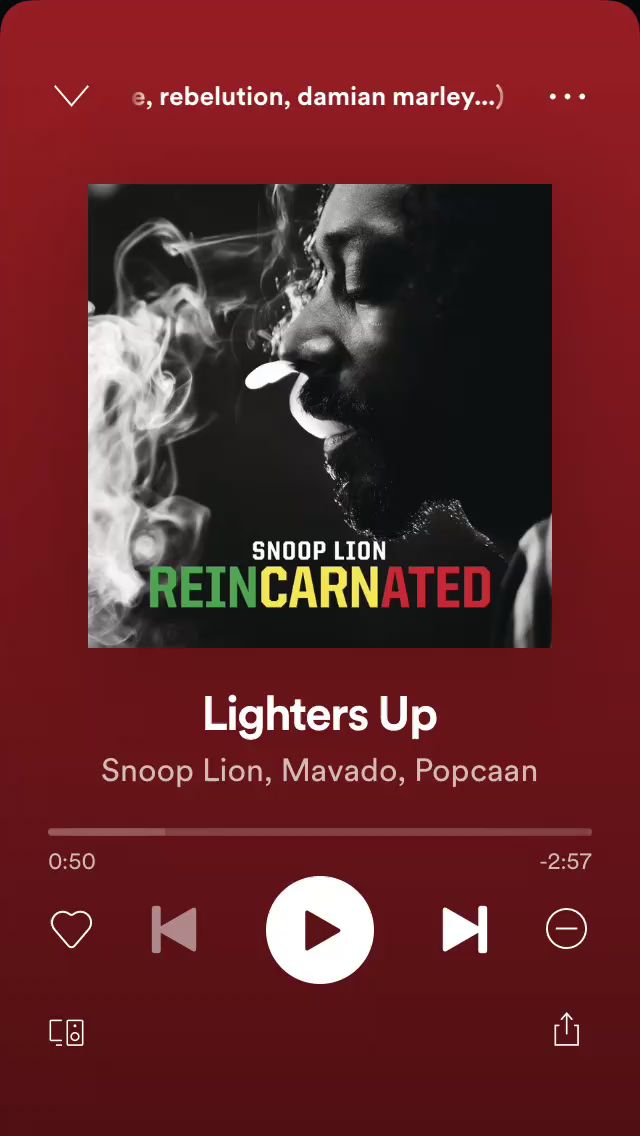 snoop lion lighters up lyrics snoop lion lighters up lyrics