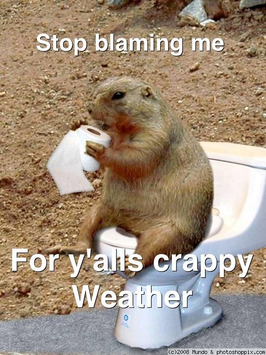 best 20 groundhog pictures ideas on pinterest happy groundhog 7d0b6e57107baf70def5aeb6fd0ed5d5 crazy funny so funny best 20 groundhog pictures ideas on pinterest happy groundhog,Funny Groundhog Meme