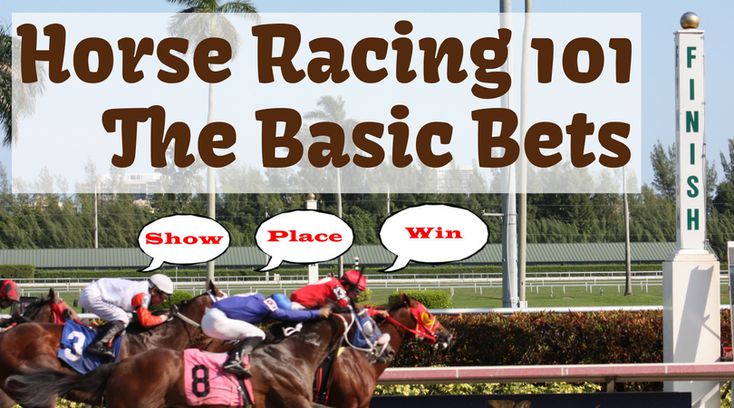 Beginner's Basic Horse Racing Knowledge 101 Start with the Basic Bets ...