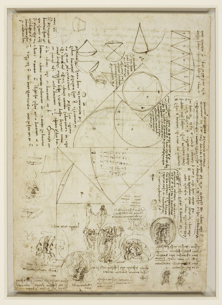 369 best Leonardo da Vinci images on Pinterest Drawings, Human - leonardo da vinci resume 369 best Leonardo da Vinci images on Pinterest Drawings, Human - leonardo da vinci resume