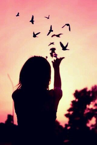 Birds Free Freedom Fly Away Into The Sky Find Light Birds Free Freedom Fly Away Into The Sky Find Light