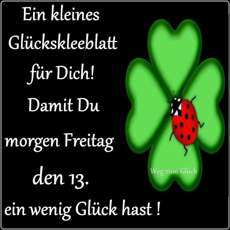 Lustige bilder und sprüche freitag