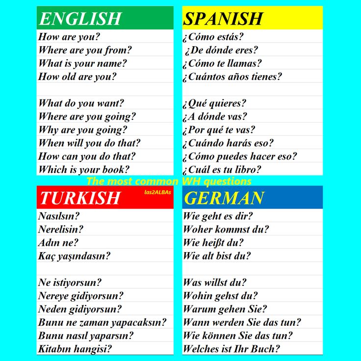 The Most Common WH Questions Ispanyolca Dilbilgisi Ispanyolca Korece the-most-common-wh-questions-ispanyolca-dilbilgisi-ispanyolca-korece