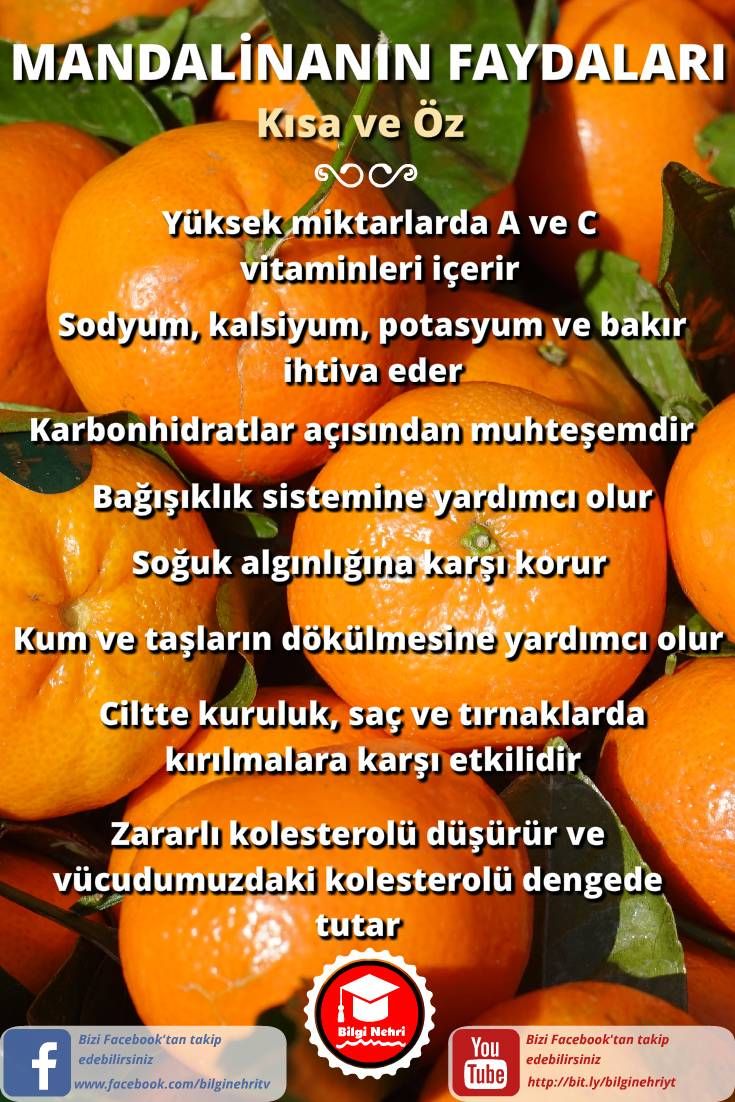 SS Natural Fit Nedir Faydaları Nelerdir SS Natural Fit Nedir Faydaları Nelerdir
