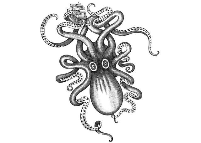 83 besten octopus bilder auf pinterest leinwanddrucke drawing 83 besten octopus bilder auf pinterest leinwanddrucke drawing