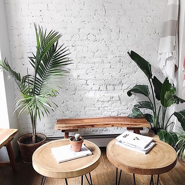 Obsession White Brick Wall Natural Wood And Plants Via Teainthecitie Plantsindecor Pla Living Wall Indoor House Plants Decor Living Wall