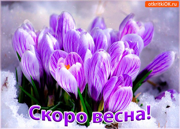 Утро, скоро весна открытке