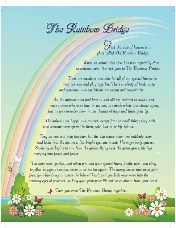 8X10 Rainbow Bridge INSTANT Digital Download Dog Sympathy - Etsy | Rainbow bridge poem, Rainbow bridge cat, Rainbow bridge