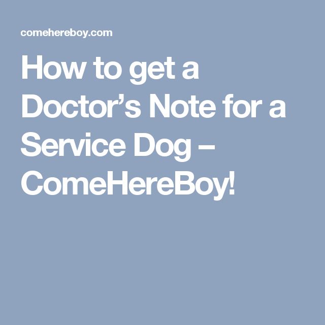 how to get a doctors note for a service dog comehereboy psd doctors note for service dog