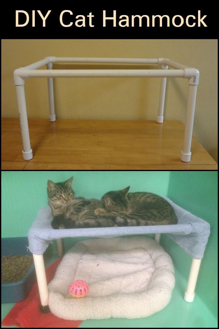 Pin By Hilde Garcdany On Stuff For Noble Noah Cat Hammock Diy Enclosure - Diy Pvc Cat Window Perch Pin By Hilde Garcdany On Stuff For Noble Noah Cat Hammock Diy Enclosure - Diy Pvc Cat Window Perch