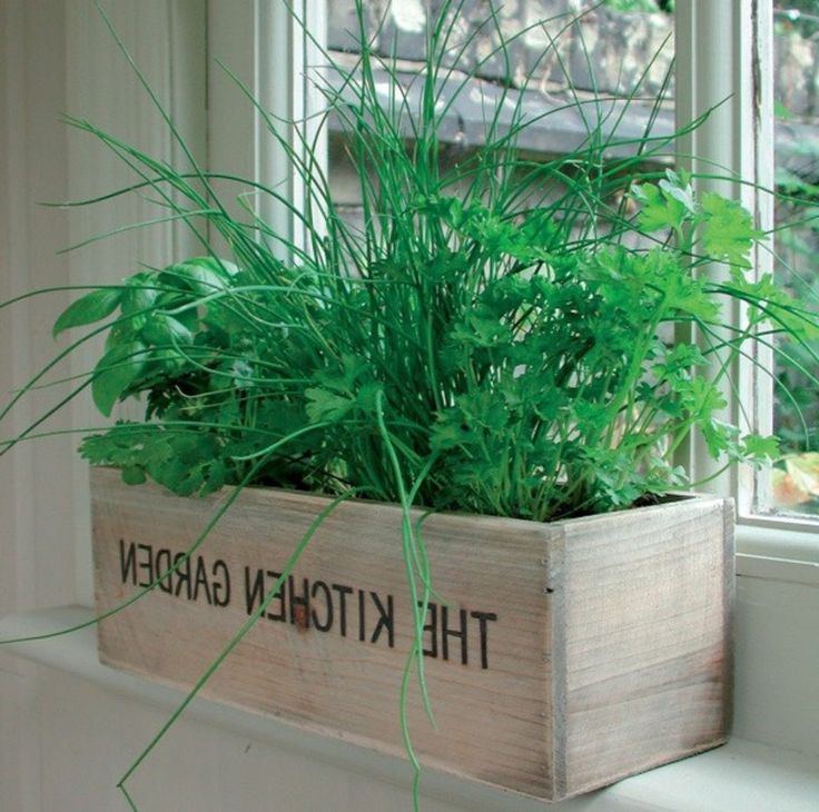 26 Luxury Indoor Herb Garden Kit Canadian Tire Herbs Indoors 26 Luxury Indoor Herb Garden Kit, Indoor Herb Garden Kit Canadian Tire