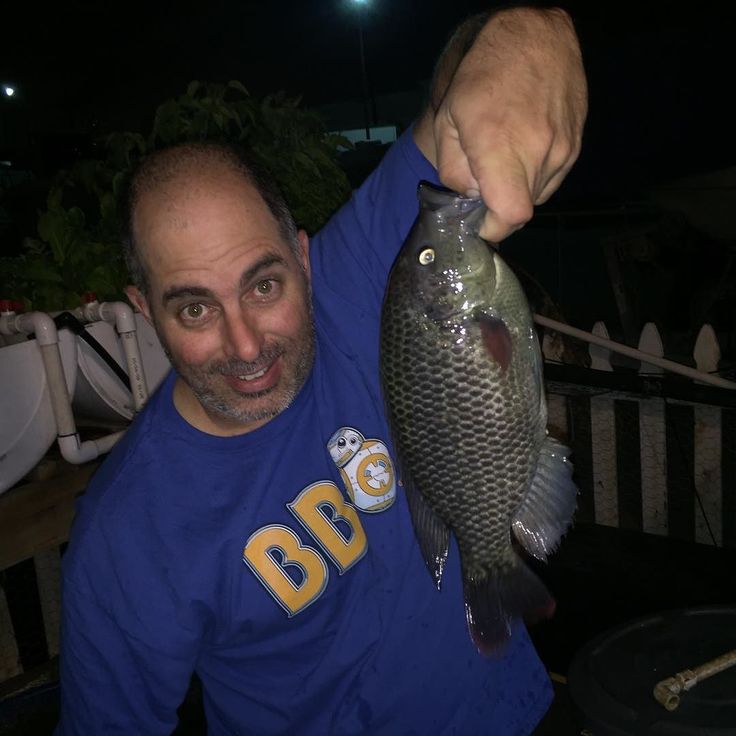 Mike picchietti tilapia fish recipes Mike picchietti tilapia fish recipes