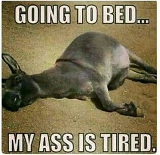 good night funny things pinte