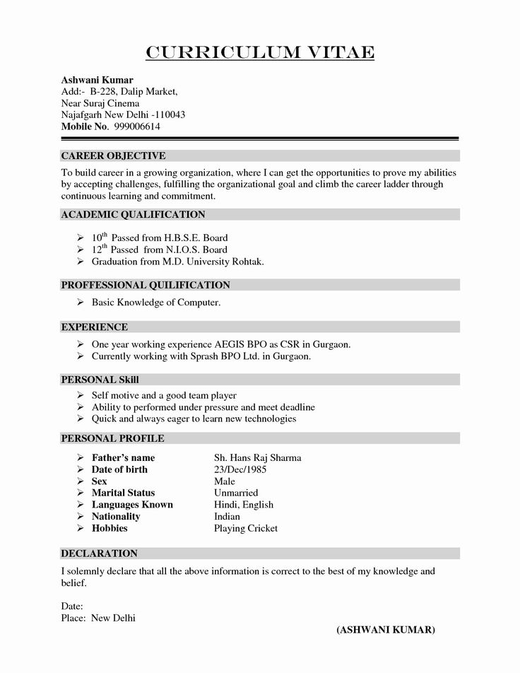Cv Template Zimbabwe - Resume Format