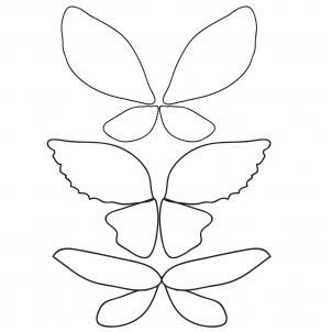 how to draw fairy wings step 3