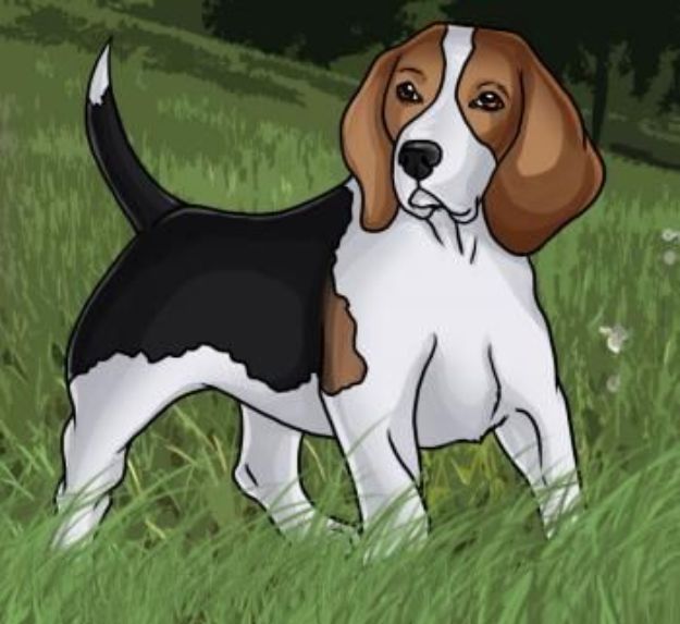 30 Ways To Draw Dogs Dog Drawing Tutorial Beagle Art Animal