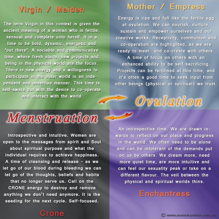 Female Energy Cycle - Click to see larger image