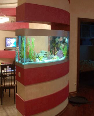 Office Fish Tanks Office Fish Tanks