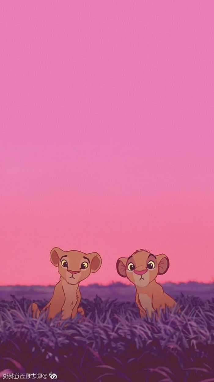Cuteness Funny Wallpaper Hd Cool Wallpapers Iphone Wallpaper