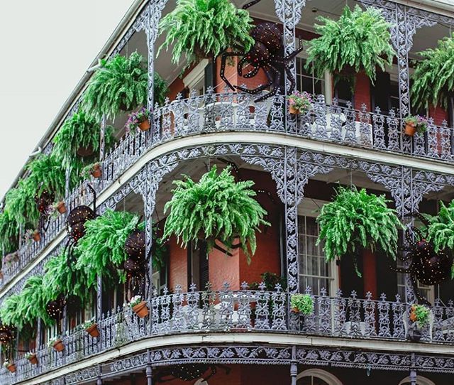 new orleans french quarter architecture tour oak alley new orleans is one of the best cities to experience halloween be sure admire french quarter architecture while youre on ghost tour new orleans french quarter architecture tour oak alley new orleans is one of the best cities to experience halloween be sure admire french quarter architecture while youre on ghost tour