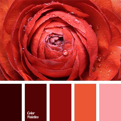 Color Balance цветовая палитра Bordo