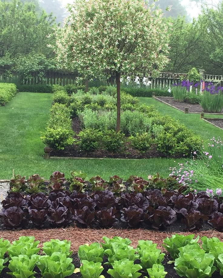 872 best Edible Landscaping images on Pinterest | Vegetable garden ... 872 best Edible Landscaping images on Pinterest | Vegetable garden ...