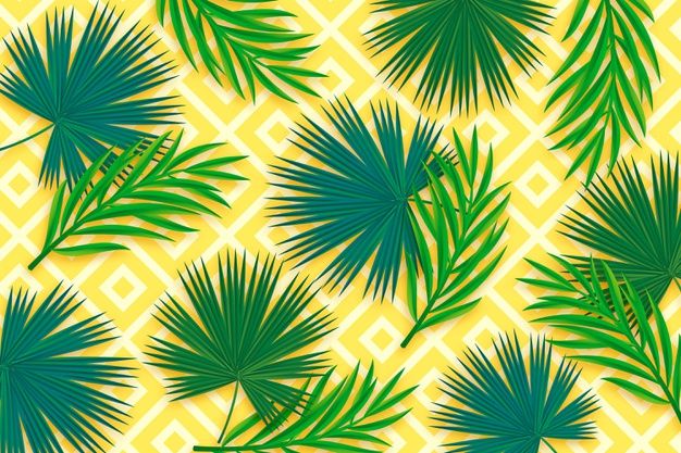 Download Summer Pattern Background For Zoom For Free Background Patterns Summer Patterns Jungle Photography