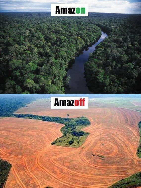 Essay about destruction of mother earth