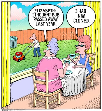 Cloning essay