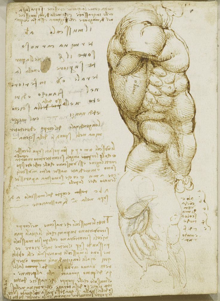73 best Leonardo Da Vinci images on Pinterest Human anatomy - leonardo da vinci resume 73 best Leonardo Da Vinci images on Pinterest Human anatomy - leonardo da vinci resume