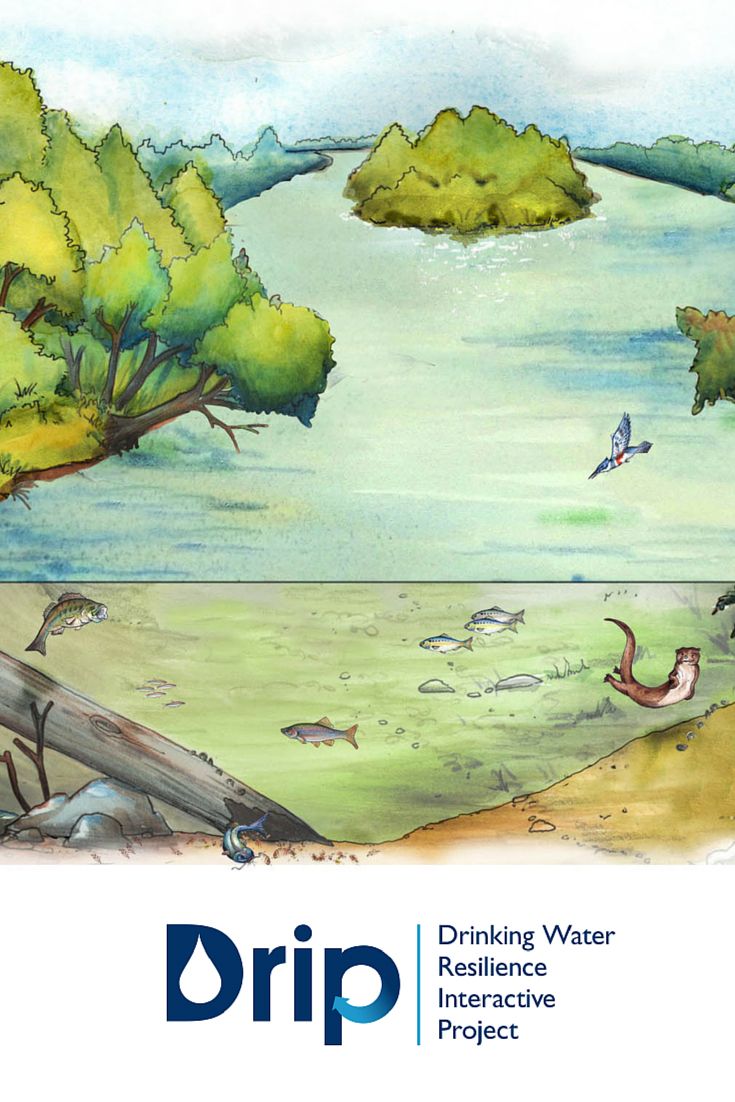 12 best drip drinking water resilience interactive project images it works for peanuts graph
