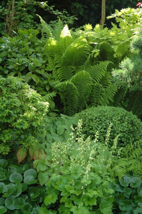 Garden Design Trees top 25+ best forest garden ideas on pinterest | home to win ca Garden Design Trees top 25+ best forest garden ideas on pinterest | home to win ca