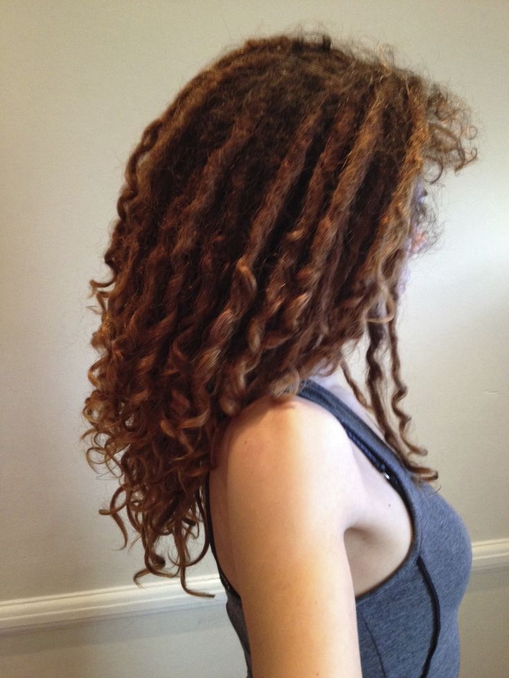 Curly dreads timeline - Dreadlocks Natural Dreads