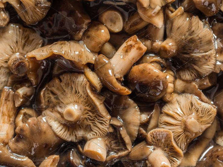 Marinated or fermented mushrooms Stuffed mushrooms Marinated or fermented mushrooms Stuffed mushrooms