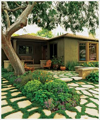 best 25 shade tolerant grass ideas on pinterest shade grass grow grass in shade and grasses for shade - Garden Ideas To Replace Grass best 25 shade tolerant grass ideas on pinterest shade grass grow grass in shade and grasses for shade - Garden Ideas To Replace Grass