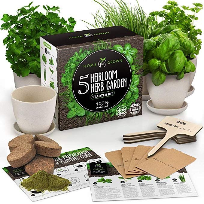 Indoor Herb Garden Starter Kit 5 Herb Seeds Gardening