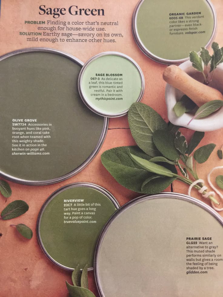 Sage green | Sage green paint color, Sage green paint, Green paint colors