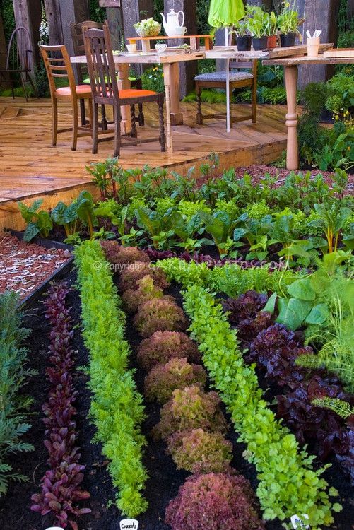 Herb Garden Design Examples 101 best potager garden images on pinterest | potager garden Herb Garden Design Examples 101 best potager garden images on pinterest | potager garden