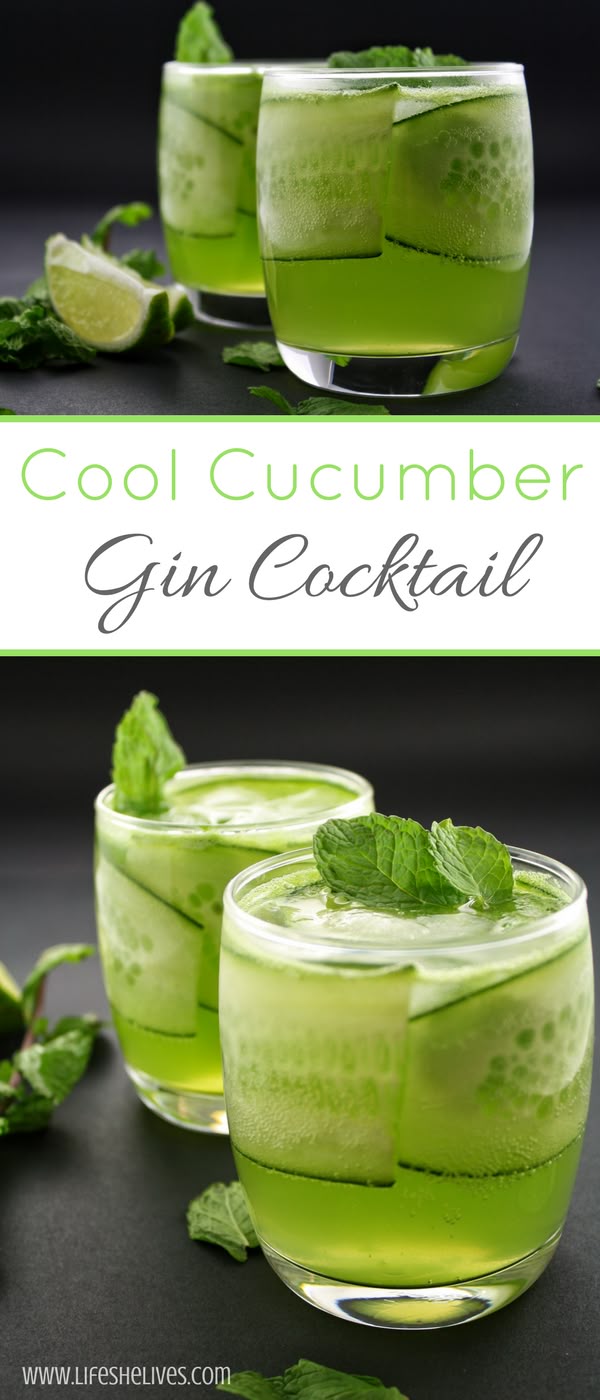 Gin and Cucumber Cocktail | Gin and Tonic | Cocktails | Drink Recipes...