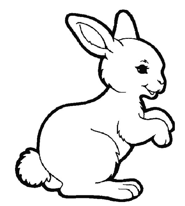 95 best Animals mural images on Pinterest Bugs, Cartoon and Insects - best of bunny rabbit coloring pages print 95 best Animals mural images on Pinterest Bugs, Cartoon and Insects - best of bunny rabbit coloring pages print