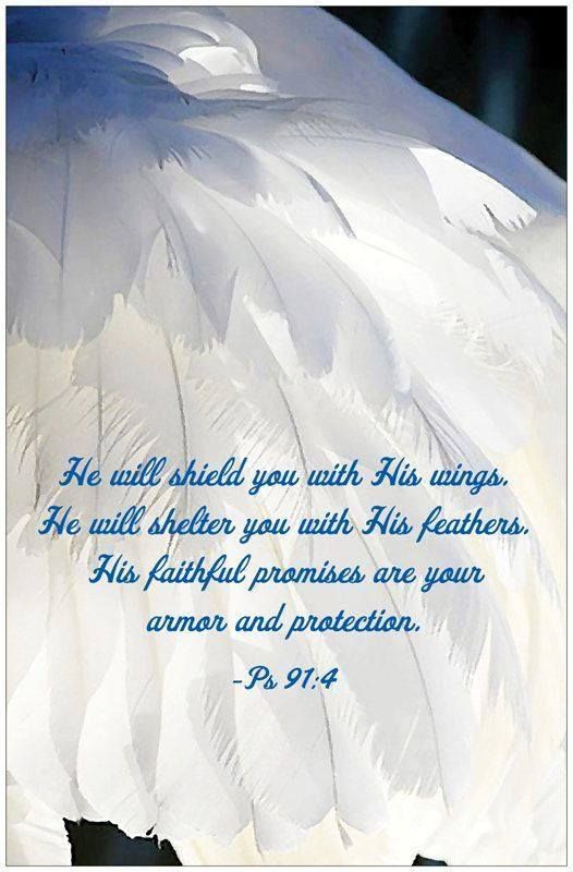 Image result for Angels wings covering you