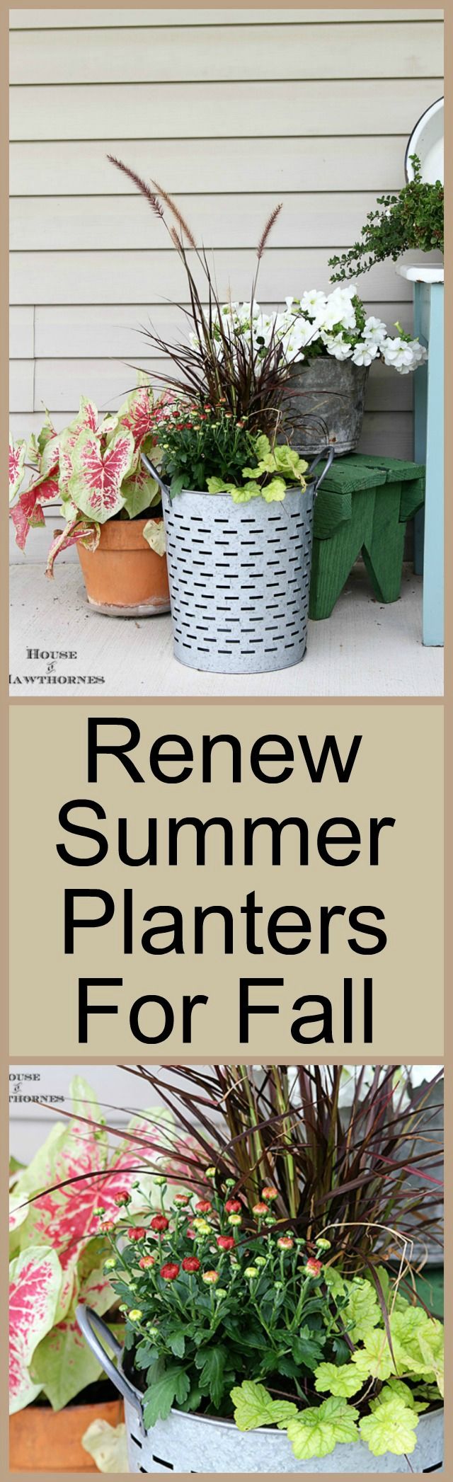 Best 25 Fall container plants ideas on Pinterest Adding Fall To A Summer Planter Fall ContainersFall Container PlantsContainer FlowersGardening