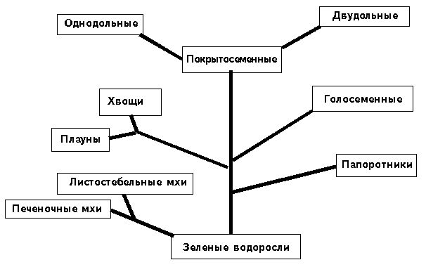 Государство Древнего Вавилона