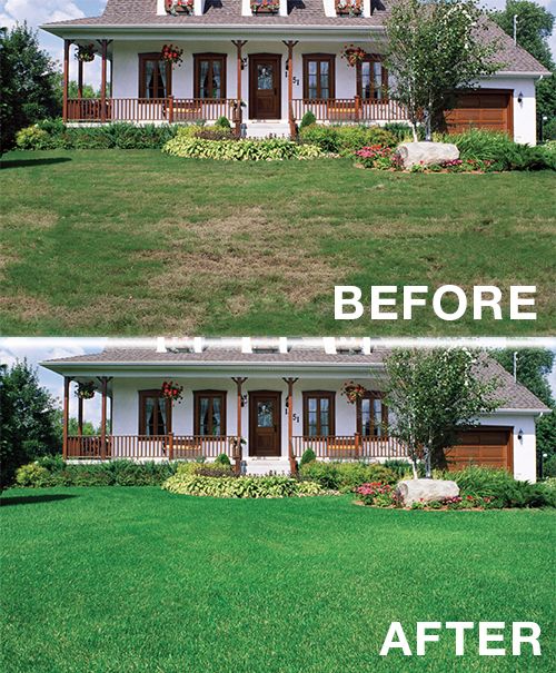 Backyard Garden Ideas Before And After 15 best lawn makeovers images on pinterest | lawn, outdoor ideas Backyard Garden Ideas Before And After 15 best lawn makeovers images on pinterest | lawn, outdoor ideas
