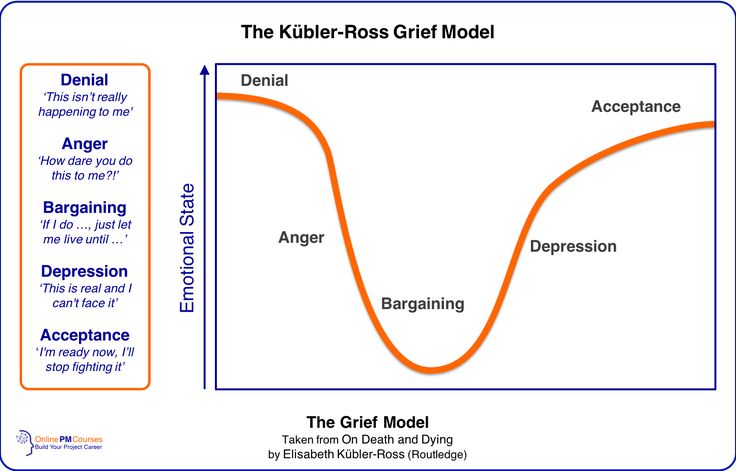 What You Need To Know About How People Respond To Change In 2021 Change Management Leadership Development Project Management Professional What You Need To Know About How People Respond To Change In 2021 Change Management Leadership Development Project Management Professional