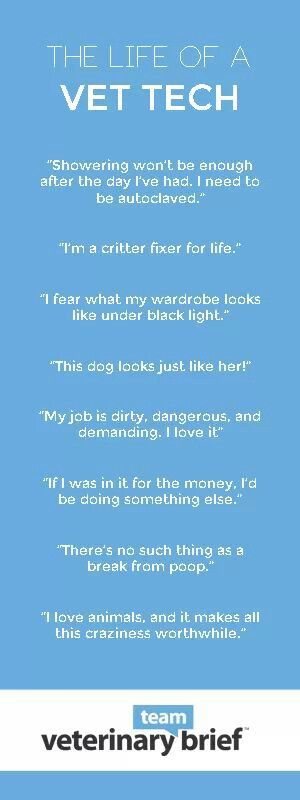 what is a veterinary technician