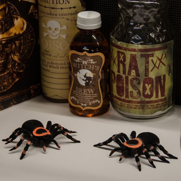 175 best diy halloween decor and crafts images on pinterest halloween stuff halloween crafts and halloween party ideas