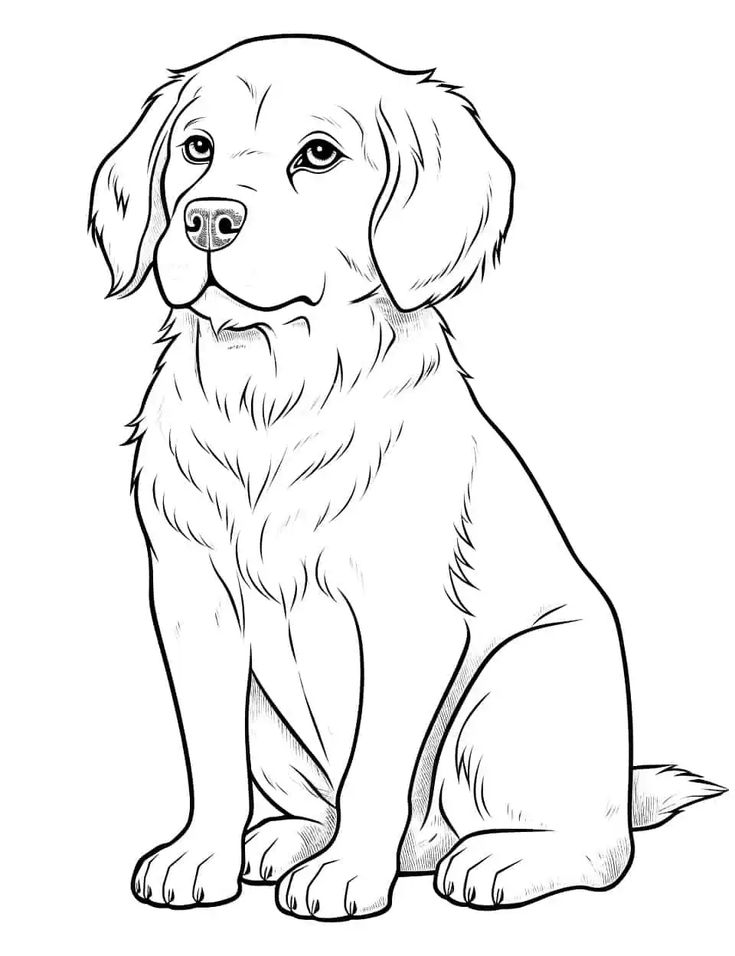 75 Dog Coloring Pages Free Printable Sheets Puppy coloring pages